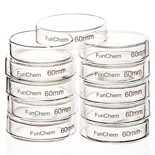 FunChem Glass Petri Dishes, Autoclavable Glass Cell Culture Dishes Lab Dishes with Clear Lid, 60x15 mm, Pack of 10 - size: 60 x 15 mm