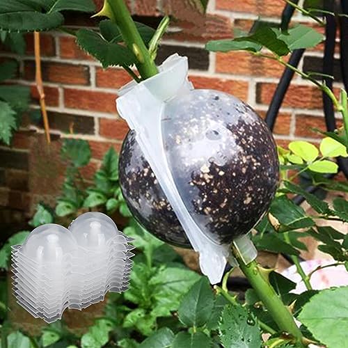 2-Inch Plant Rooting Device - 10Pcs Reusable Air Layering Propagation Balls, High Pressure Growing Box for Grafting (Transparent) - color: Transparent