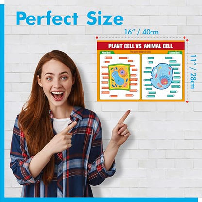 17 Laminated Biology Posters, Human Body System, Cell Anatomy, DNA, Photosynthesis, Educational Science Charts For Middle & High School, Learning Tool For Classroom, Bulletin Board, Room, 11”x16” - color: 17 Laminated Biology Posters