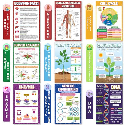 KIDS KING 18 Learning Posters - Biology (11"x17") - color: Biology