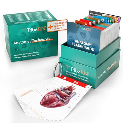 TribeRN Anatomy and Physiology Flash Cards – 320 Study Resources for Students – Human Anatomy & Physiology Study Tools – Medical, Nursing School Essentials – Durable & Easy to Use Flashcards - style: Anatomy and Physiology