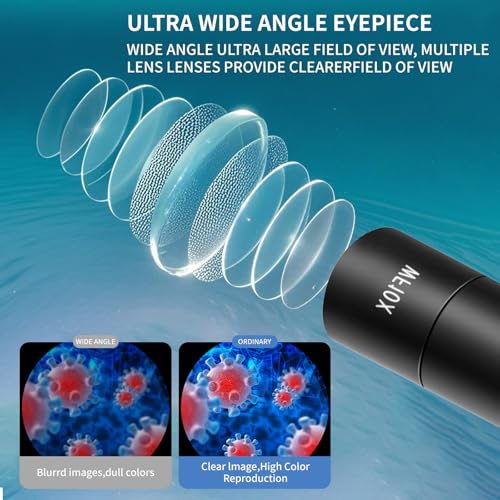 40-2000X HD Optical Microscope for Students, Dual LED Lights, with Specimen Slides (Basic Version) - color: Basic Version