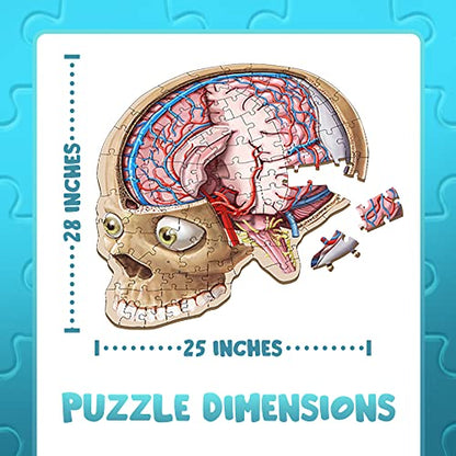 Human Brain Floor Puzzle - Doctor Livingston Jr Anatomy Model - 100 Piece Jigsaw Puzzle - Kids Puzzle and STEM Game About Brain - Medically Accurate Science Toys for Kids, Toddlers, Teens - style: Human Brain Puzzle