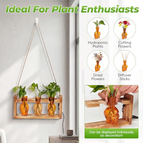 Skull Plant Propagation Station with LED Lights - Halloween Decor Skull Planter, Hydroponics Pot for Office, Unique Gifts for Women & Plant Lovers(Amber)
