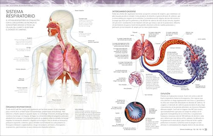 Atlas de anatomía para colorear (The Human Body Coloring Book): Guía de estudio (Spanish Edition)