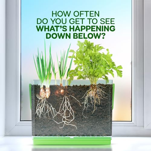 Root Viewer Kit for Kids - Grow Your Own Plant for Boys & Girls Gifts