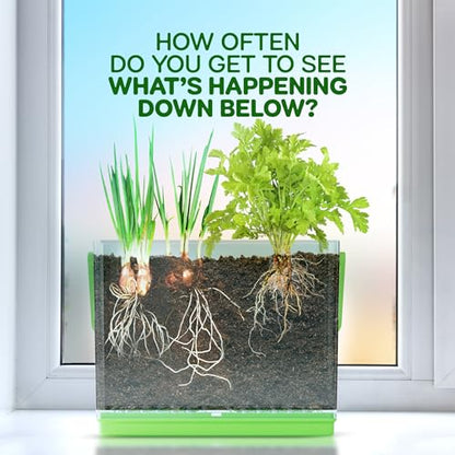 Root Viewer Kit for Kids - Grow Your Own Plant for Boys & Girls Gifts
