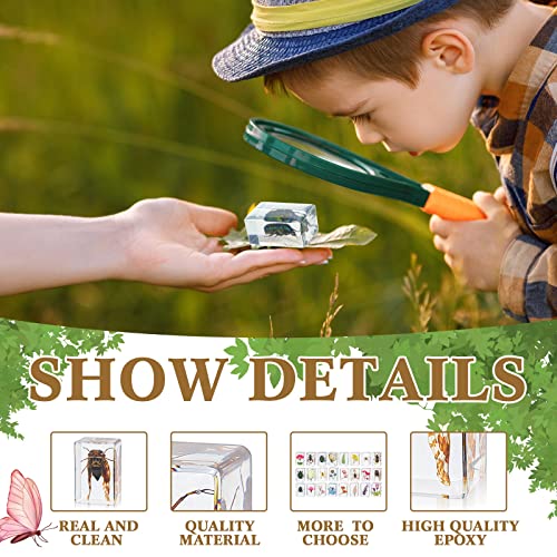 Geelin 24 Pcs Insect in Resin Specimen Set Specimen Bugs Plant Flower Paperweight Butterfly Science Mini Animals Figures for Biology Science Teacher Education Collection