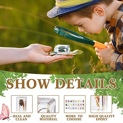 Geelin 24 Pcs Insect in Resin Specimen Set Specimen Bugs Plant Flower Paperweight Butterfly Science Mini Animals Figures for Biology Science Teacher Education Collection