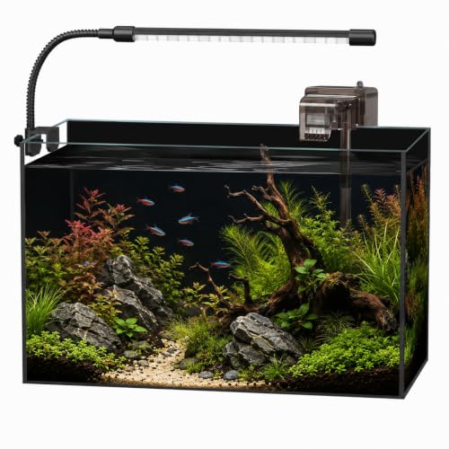 5 Gallon Glass Aquarium Starter Kit, Rimless Fish Tank - color: Black, size: 5 Gallon