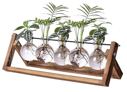 Kingbuy Plant Propagation Station with 5 Bulb Vases - size: 5 Bulb Vase