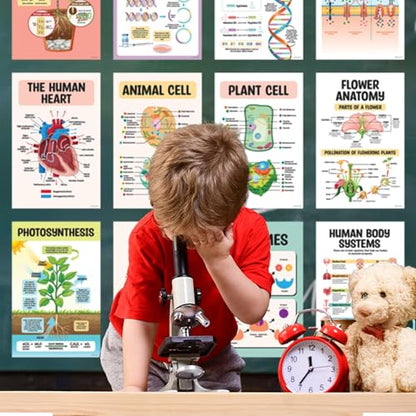 Decorably 16 Biology Posters High School, Elementary Decorations