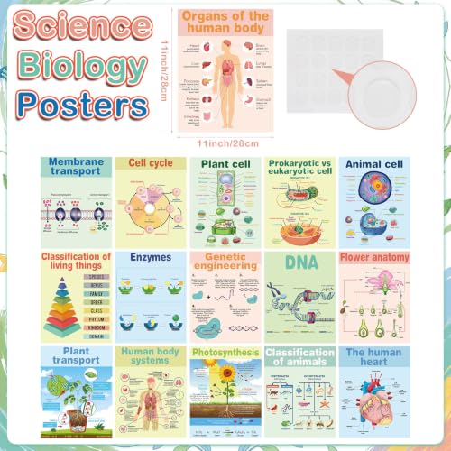 Pajean 16 Pcs Science Biology Posters, Biology Classroom Decoration