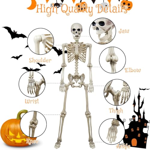 breesky Skeleton for Halloween Life Size: 5.4ft Realistic Human Skeleton - color: Off-White