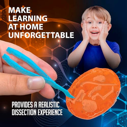 Discover-It Owl Pellet, Science Lab Kit, STEM Toys for Kids, Ages 5+ - style: Owl Pellet