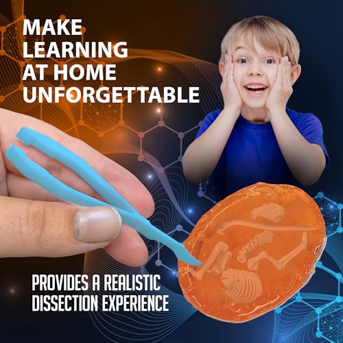 Discover-It Owl Pellet, Science Lab Kit, STEM Toys for Kids, Ages 5+ - style: Owl Pellet