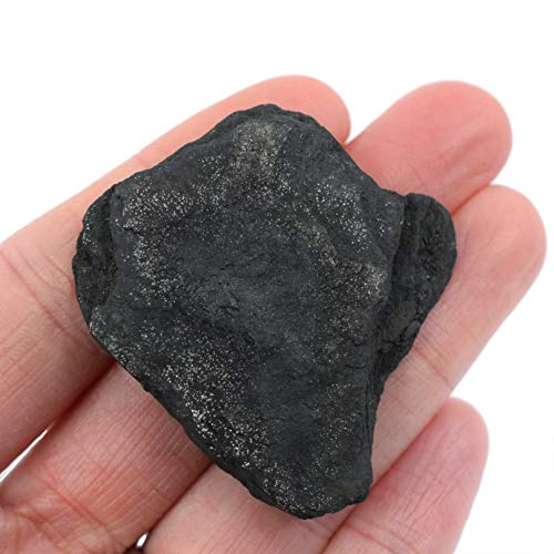 EISCO 12PK Raw Anthracite Coal, Metamorphic Rock Specimens - Approx. 1" - Geologist Selected & Hand Processed - Great for Science Classrooms - Class Pack