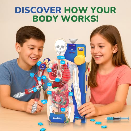 Smartivity DIY Interactive Human Body Model for Kids 8-14 Years
