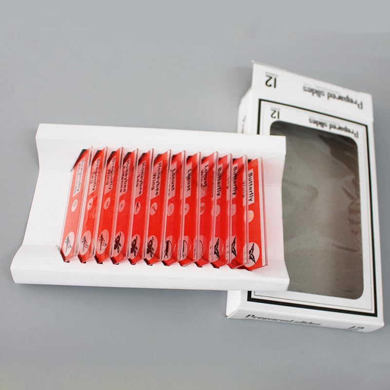 Kids Microscope Accessories 12pcs Plastic Slides Prepared Specimens Set