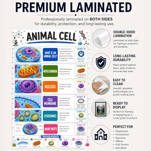 banner4you Animal Cell Classroom Poster, Biology Classroom Decor, Animal Cell Diagram Wall Art for Elementary & Middle School Science, STEM Teacher Decoration, Laminated, 11x17 Inch