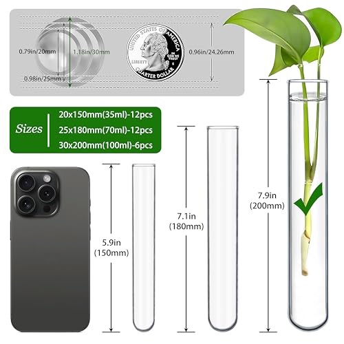6pcs 100ml Large Glass Test Tube, 30x200mm Propagation Tube for Plant - size: 30 x 200