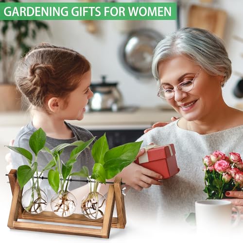 YIBOT Plant Propagation Stations with Wooden Stand & 3 Glass Bulb Vases - size: 3Bulb-A