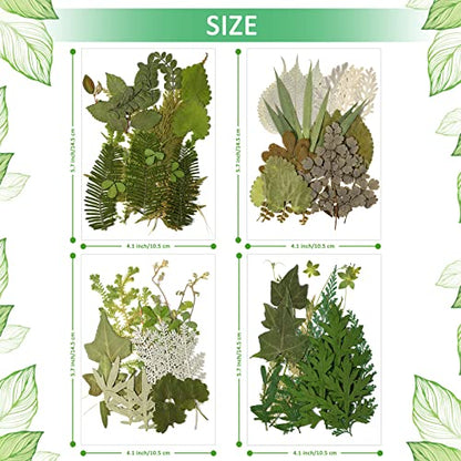 Timtin 84 Pcs Dried Pressed Leaves Flowers for Resin, Vivid - color: Vivid Style