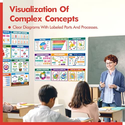 17 Laminated Biology Posters, Human Body System, Cell Anatomy, DNA, Photosynthesis, Educational Science Charts For Middle & High School, Learning Tool For Classroom, Bulletin Board, Room, 11”x16” - color: 17 Laminated Biology Posters
