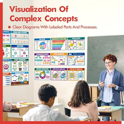 17 Laminated Biology Posters, Human Body System, Cell Anatomy, DNA, Photosynthesis, Educational Science Charts For Middle & High School, Learning Tool For Classroom, Bulletin Board, Room, 11”x16” - color: 17 Laminated Biology Posters