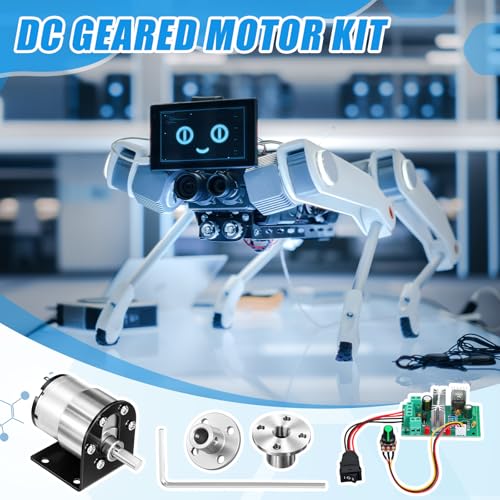 Copkim 12V DC Geared Motor Kit, 300rpm - style: 300rpm