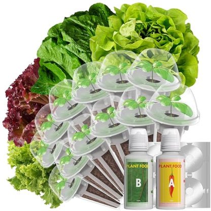 LYKOCLEAN Salad Romaine Lettuce Seed Pods for AeroGarden,Ahopegarden, iDOO Hydroponics Growing System,350 Seeds+ Including American Lettuce,Paris Island Cos,Buttercrunch (12-Pods) - color: Lettuce, size: 12pods