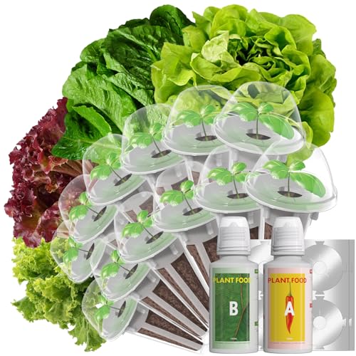 LYKOCLEAN Salad Romaine Lettuce Seed Pods for AeroGarden,Ahopegarden, iDOO Hydroponics Growing System,350 Seeds+ Including American Lettuce,Paris Island Cos,Buttercrunch (12-Pods) - color: Lettuce, size: 12pods
