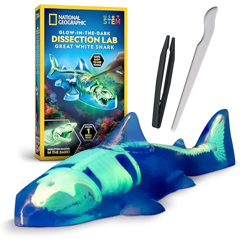 National Geographic Glow-in-the-Dark Shark Dissection Kit for Kids - style: Shark Dissection Kit