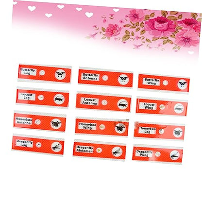 Kids Microscope Accessories 12pcs Plastic Slides Prepared Specimens Set