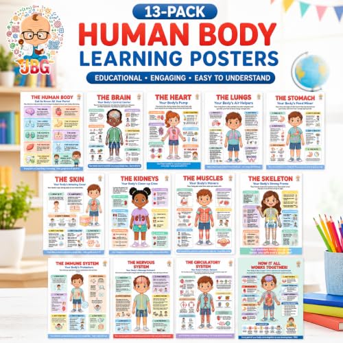JELLY BEAN GENIUS Human Body Posters Complete Set of 13 – Laminated Dry-Erase Anatomy Charts for Classroom & Homeschool | Organs Systems Science Educational Wall Posters 8.5x11 - color: Human Body Complete Set of 13