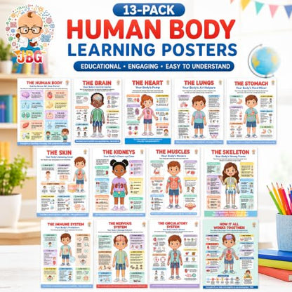 JELLY BEAN GENIUS Human Body Posters Complete Set of 13 – Laminated Dry-Erase Anatomy Charts for Classroom & Homeschool | Organs Systems Science Educational Wall Posters 8.5x11 - color: Human Body Complete Set of 13