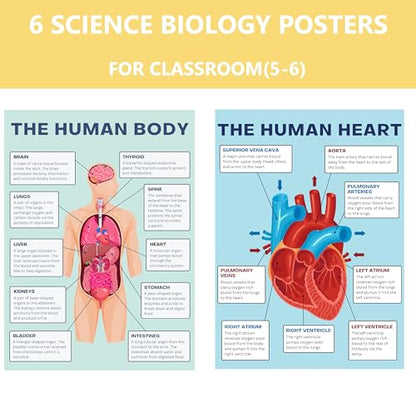 6 Biology Posters for Classroom Educational Biology Posters for High School
