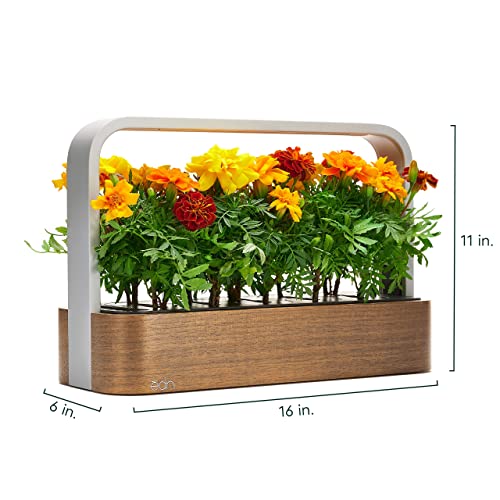 edn Indoor Smart Garden with Basil SeedPods for iOS Devices