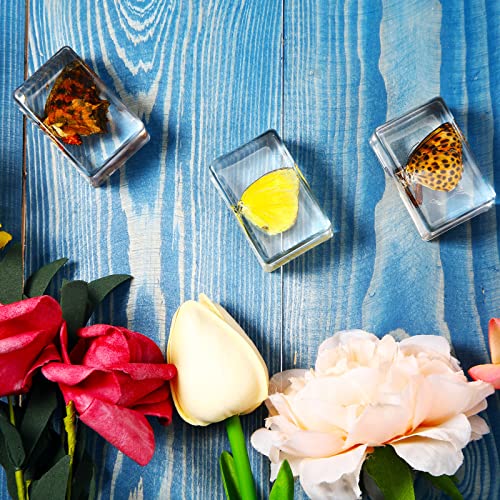 12 Pcs Insect Specimens for Kids Resin Bug Collection Kit, Butterfly - style: Butterfly
