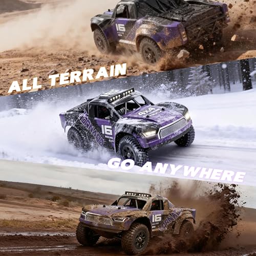 X-TMAGA 1:16 All Terrain RC Cars, 4WD Off-Road Remote Control Car (HS16-83) - color: Purple