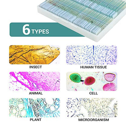 100Pcs Prepared Microscope Slides with Specimens for Kids Science Learning