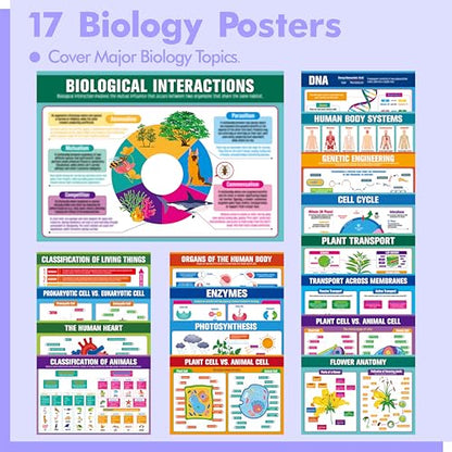 17 Laminated Biology Posters, Human Body System, Cell Anatomy, DNA, Photosynthesis, Educational Science Charts For Middle & High School, Learning Tool For Classroom, Bulletin Board, Room, 11”x16” - color: 17 Laminated Biology Posters
