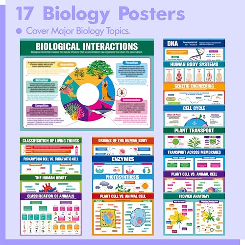 17 Laminated Biology Posters, Human Body System, Cell Anatomy, DNA, Photosynthesis, Educational Science Charts For Middle & High School, Learning Tool For Classroom, Bulletin Board, Room, 11”x16” - color: 17 Laminated Biology Posters