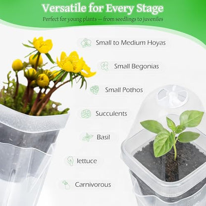 12Pack 2.5" Self Watering Seed Starter Pots for Plant Propagation Cuttings - color: Transparent 12 Pack