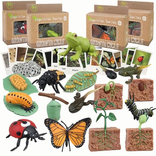 Mbrain Life Cycle Learning & Education Toys,Montessori Toys Figurines for Frog, Butterfly, Ladybug,Plants Kit,Gift for Girl & Boy for 3 4 5 Year Old - color: Butterfly Frog Ladybug Plant