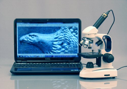 AmScope M158-2L Cordless Compound Monocular Microscope, WF10x Eyepiece