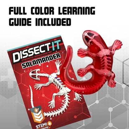 Top Secret Toys Dissect-It Mini Labs Salamander Dissection Kit for Kids, Realistic Synthetic Kids Science Kit - On, Biology and Animal Anatomy, STEM Toy, Ages 6+ - style: Mini Salamander