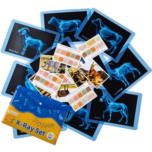 10 Pcs Farm Animal Xrays - Light Table Accessories - style: Farm Series