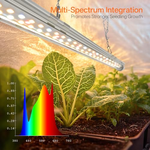 Bstrip Small Greenhouse, GM3 Indoor Greenhouse with Grow Light, Auto Timer