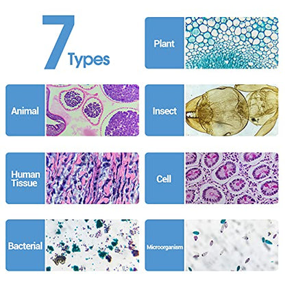 120 Microscope Slides with Specimens for Kids: Prepared Slides for Science - size: 120pcs